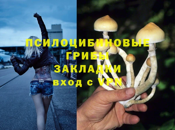 соль ск Алзамай